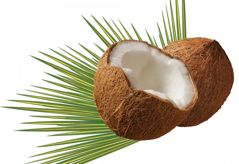 coconut-979858_1920