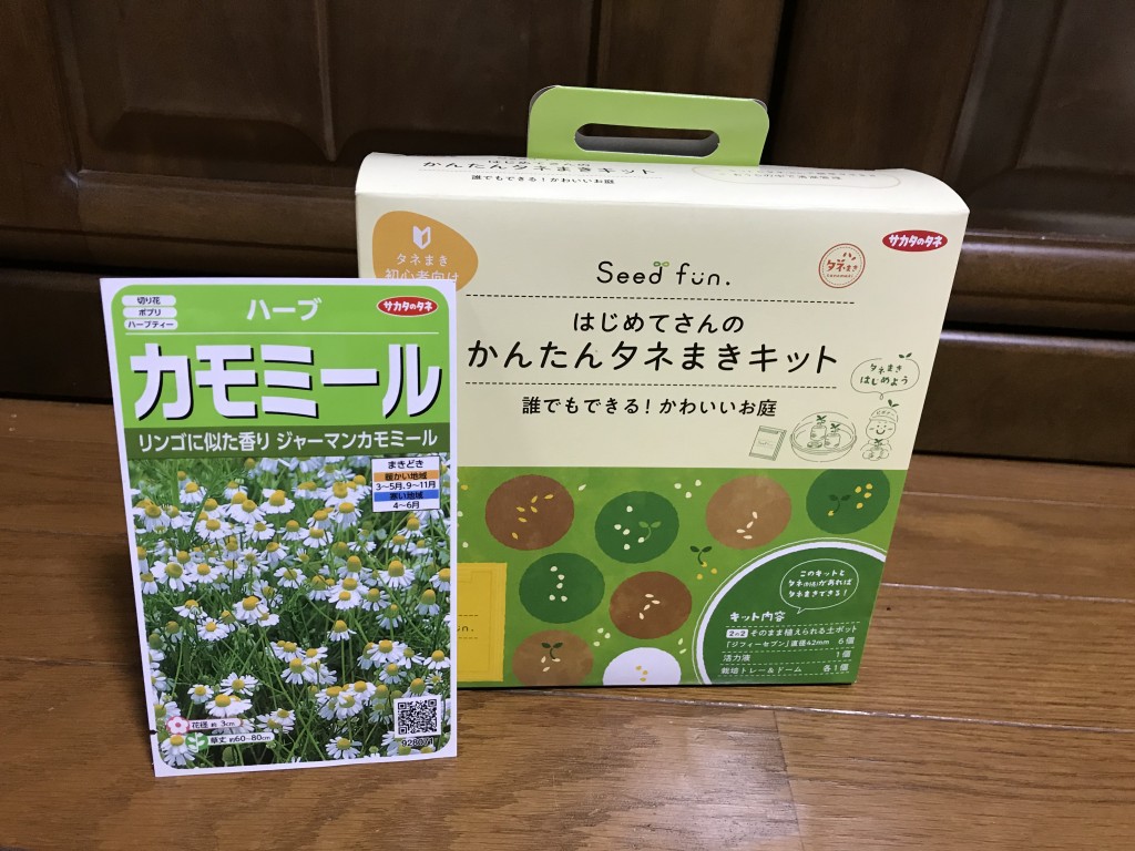 ﾊｰﾌﾞ栽培 ジャーマンカモミールの種まき